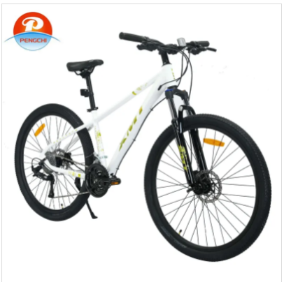 White Mountain Bike Excellence for Global Business Partnerships