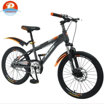 Encouraging Active Lifestyles for Children: Fun and Fitness with Bikes