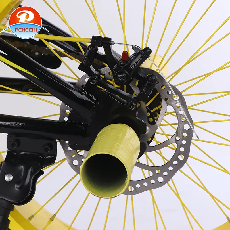 portable bicycle