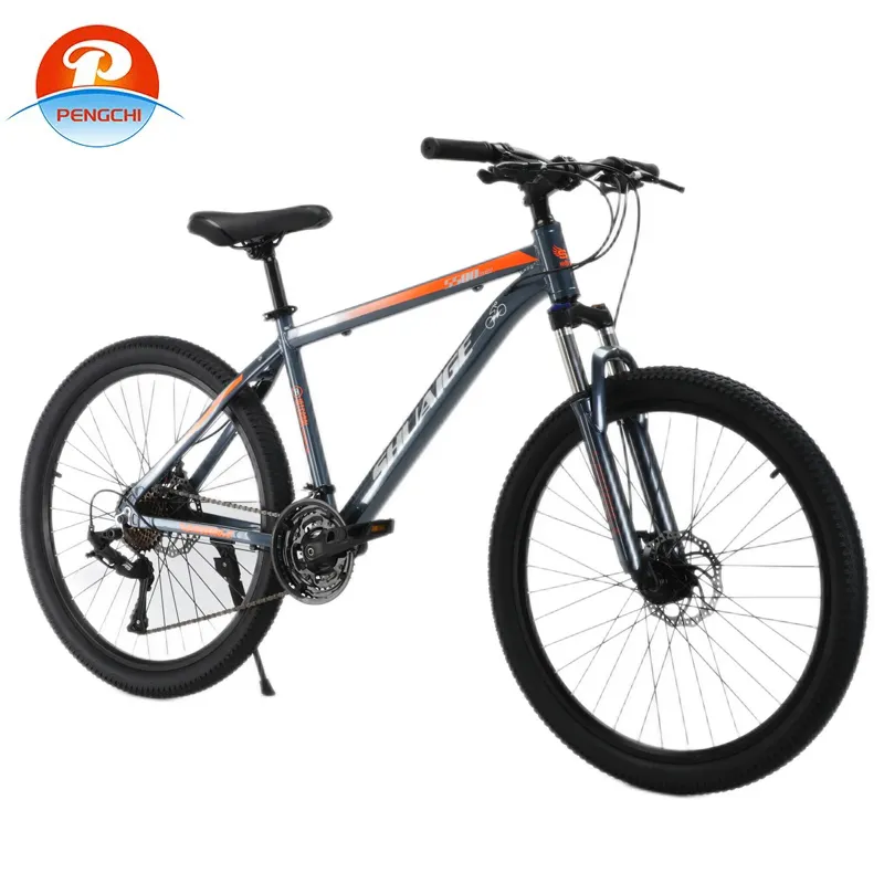 how to choose a foldable bicycle