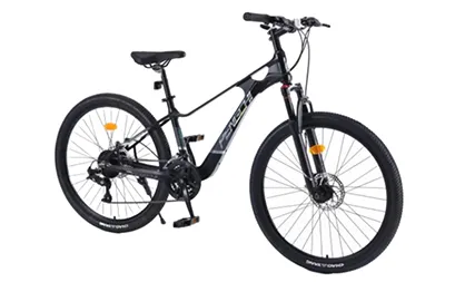 mtb 29