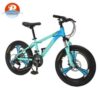 how to choose a mtb