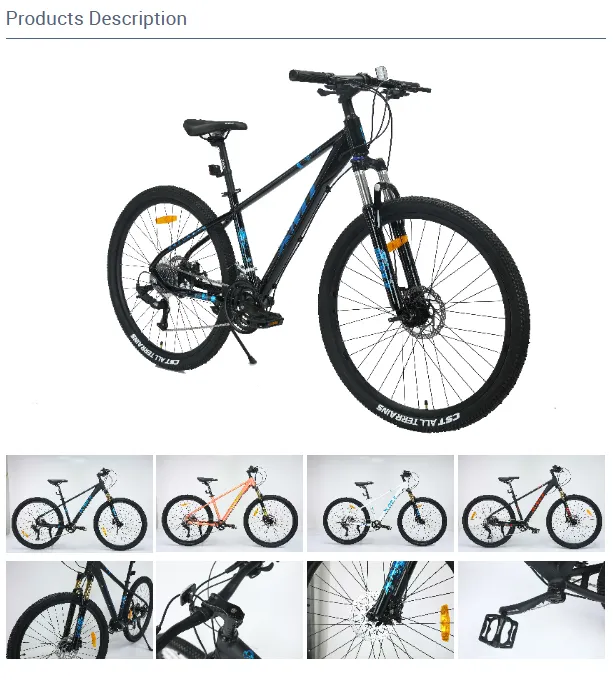 mtb bmx
