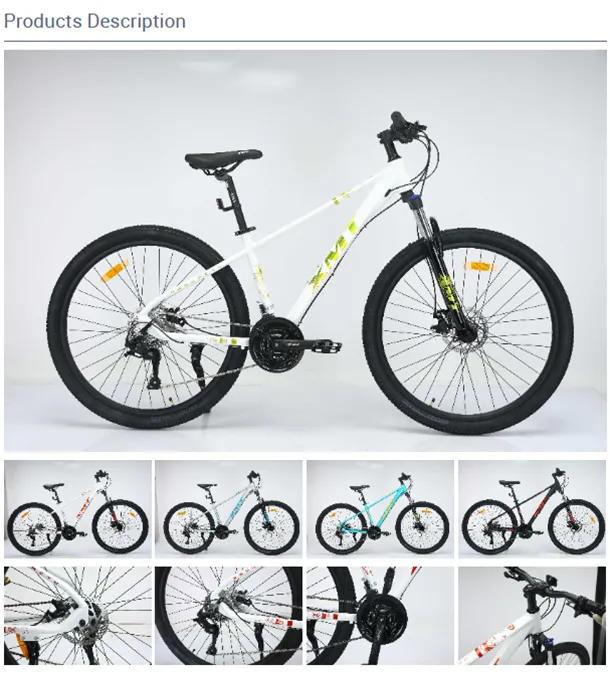 china folding bicycle
