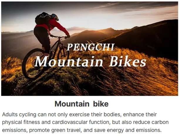 how to pick the right bicycle