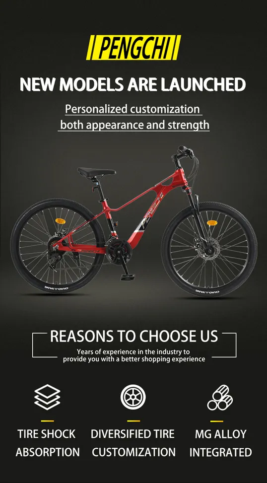 china foldable bicycle