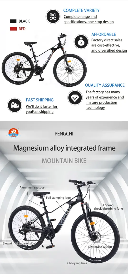 various types of bikes