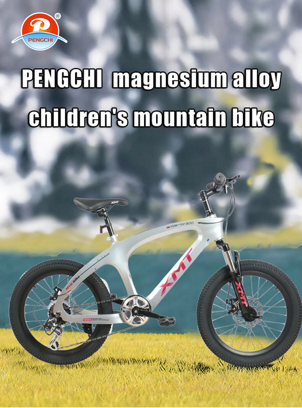 china folding bicycle