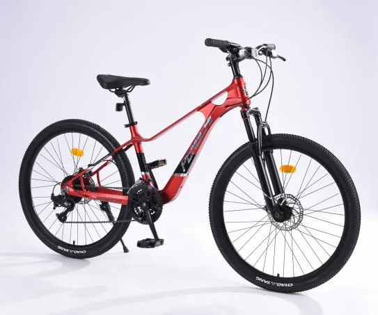 bmx types