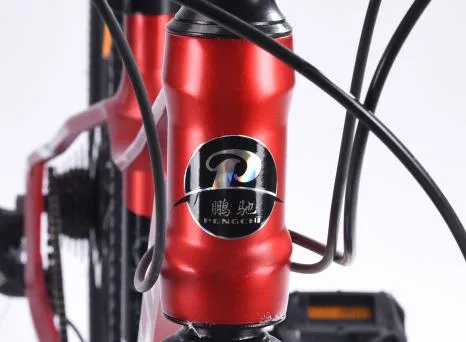 hardtail mtb